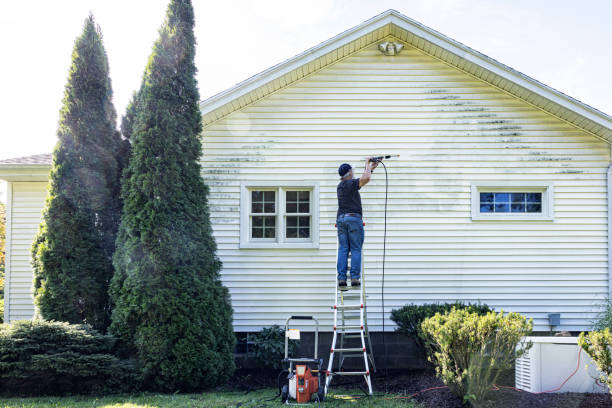 Best House Pressure Washing  in Macclenny, FL